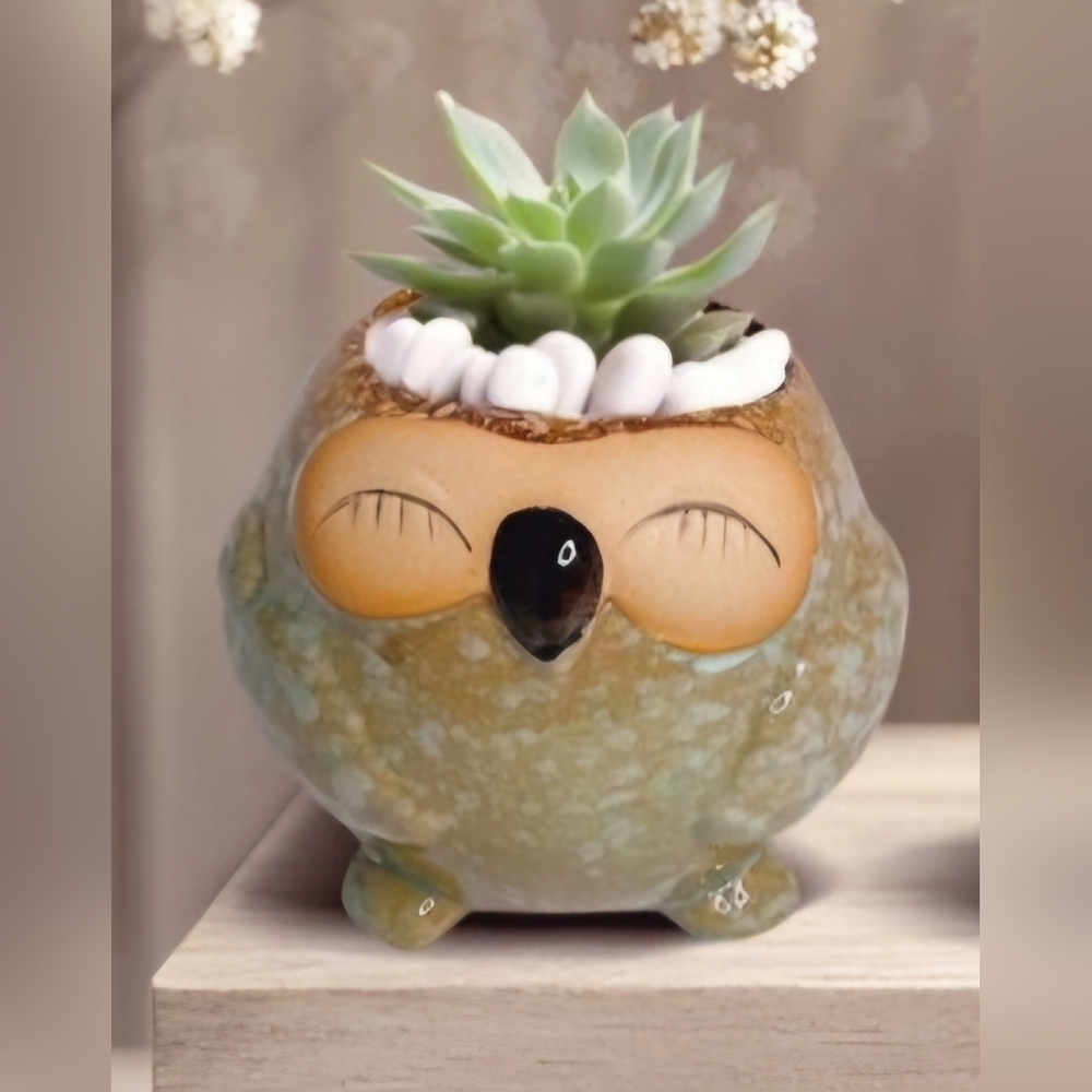 NWOT | Adorable Ceramic Owl Succulent Planter Pots | Set Of 4 | Drainage Holes - Picture 6 of 16